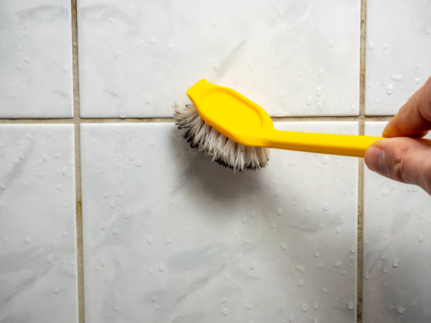 Best Water Damage Restoration  in North St Paul, MN